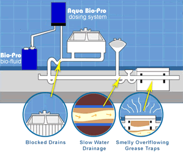Aqua Bio-Pro Diagram Showing how system works